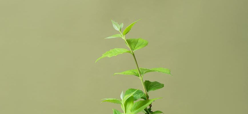 Everyday Sparks: Finding Inspiration in the Mundane